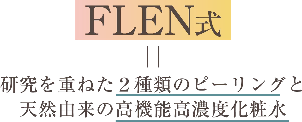 FLEN式